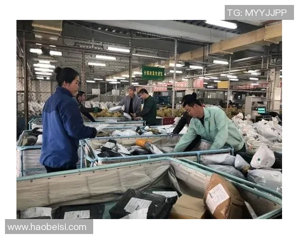 与王娜畅谈DOTA2职业生涯中的挑战与成就